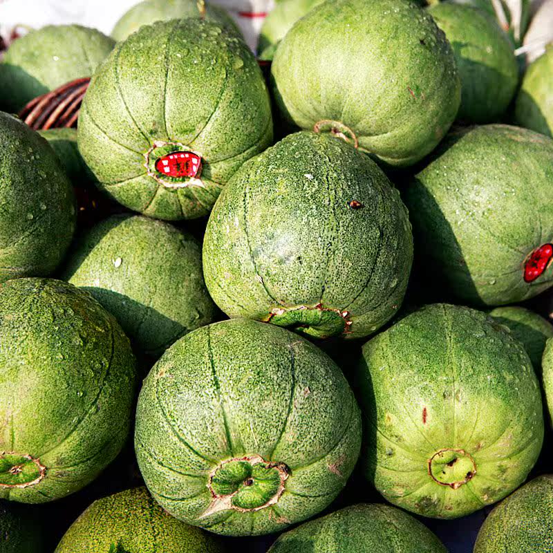 现摘现发绿宝甜瓜香瓜水果新鲜5斤包邮 当季水果绿宝石小甜瓜蜜瓜|msdalam kategori daging perikanan/Buah-buahan segar dan sayur-sayuran/dimasak, buah-buahan segar, lain - dari Buy2taobao.com untuk memberikan perkhidmatan ejen Taobao profesional membeli