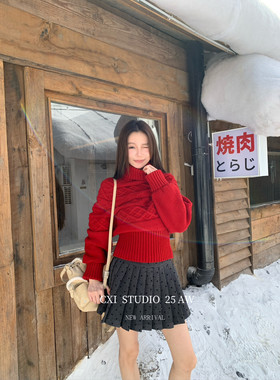 十三行正版2025冬季新款韩系时尚氛围感百搭高领蝙蝠袖针织毛衣女