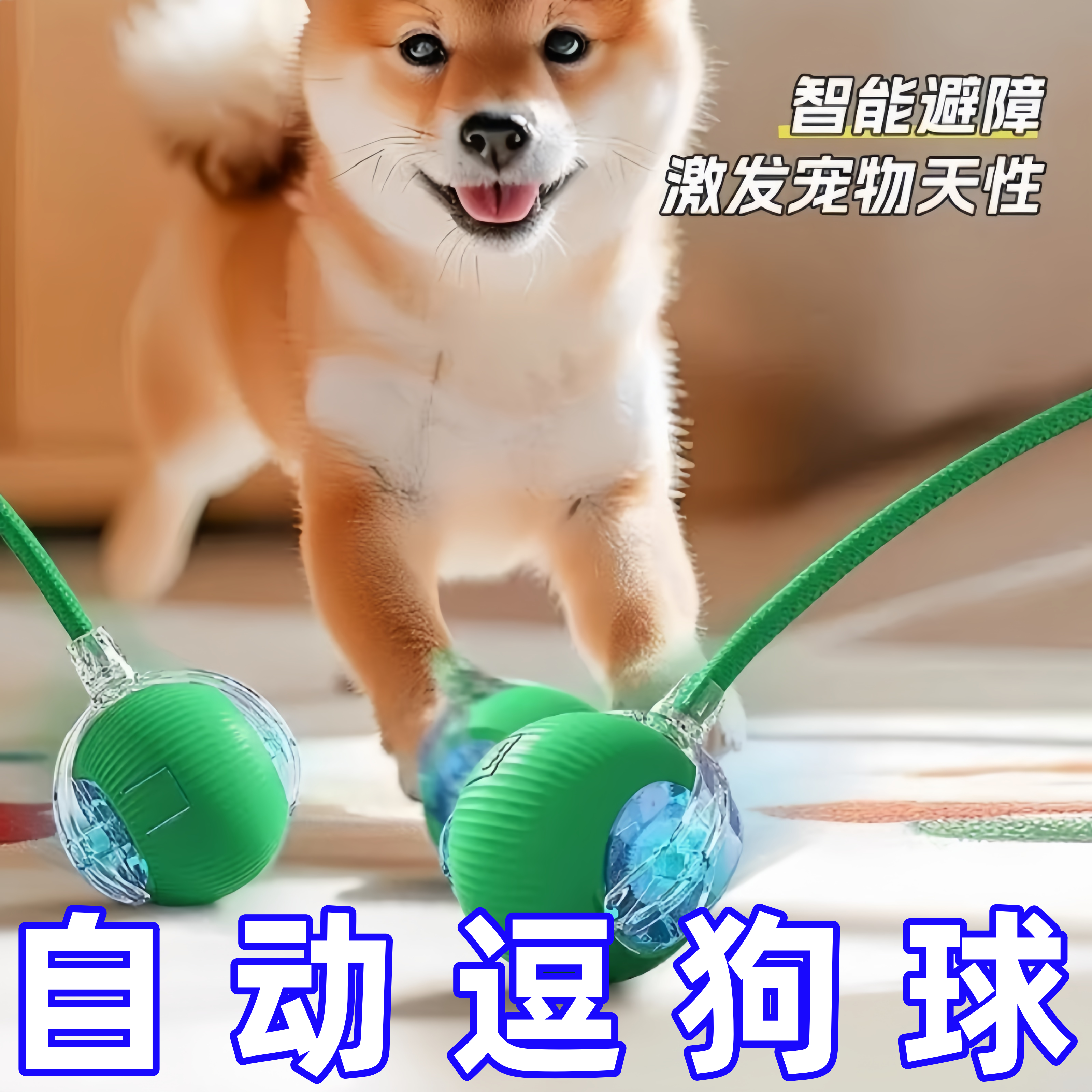 狗狗玩具球自动遛狗电动逗狗耐咬小狗比熊玩的宠物狗自嗨解闷神器