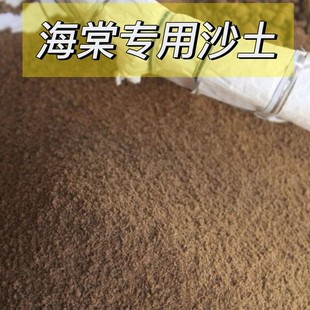 海棠专用土疏松透气海棠专用长势好旺好浇水不板结家庭盆栽专用
