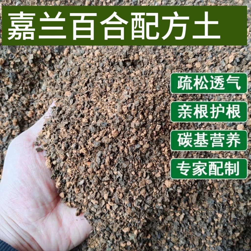 嘉兰百合专用土配方土家庭盆栽疏松透水保水亲根好管理枝繁叶茂图片