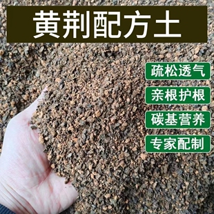 黄荆专用土配方土营养土家庭盆栽疏松透水保水亲根好管理枝繁叶茂