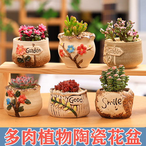多肉组合盆栽含陶瓷花盆含土送工具