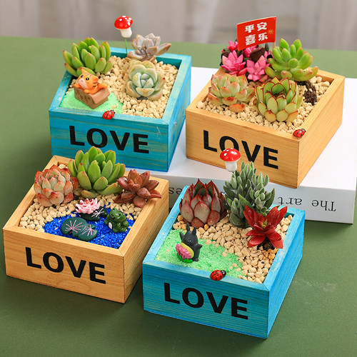 多肉植物组合盆栽套餐微景观diy材料包带盆幼儿园儿童节手工套装
