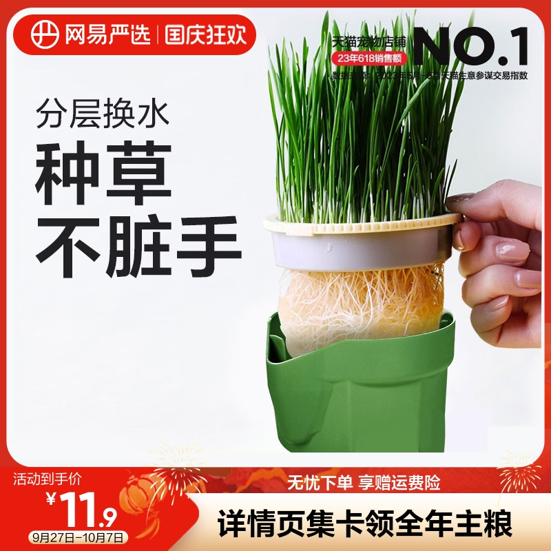 网易严选无土水培猫草