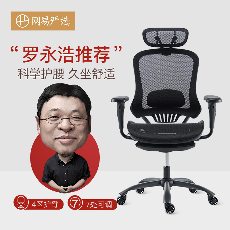 罗永浩推荐网易严选电脑椅人体工学椅靠背椅座椅办公椅久坐舒适