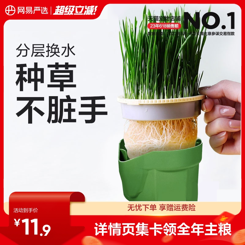 网易严选无土水培猫草