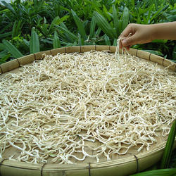 木瓜丝干农家自制青木瓜条广西横县木瓜丁条散装香辣酱菜干货