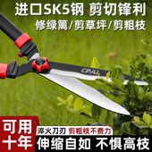 树篱剪枝 采购产品园艺剪刀 草坪修剪 花园剪枝 树 果树剪枝