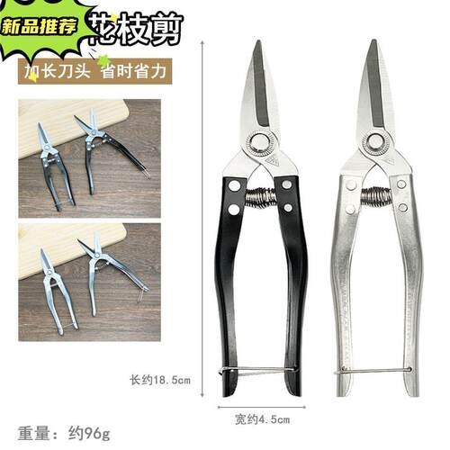不锈钢正品广东罗定摘果剪砂糖橘