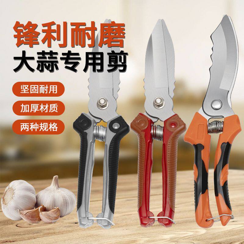 农用大蒜圆葱专用剪刀干湿蒜杆胡蒜须工具剪蒜蒜头洋葱神器剪子