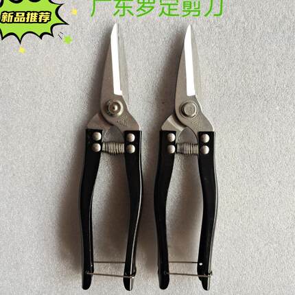 广东正品罗定不锈钢果剪采砂糖橘小黄剪刀摘果剪小大号圆头果子剪