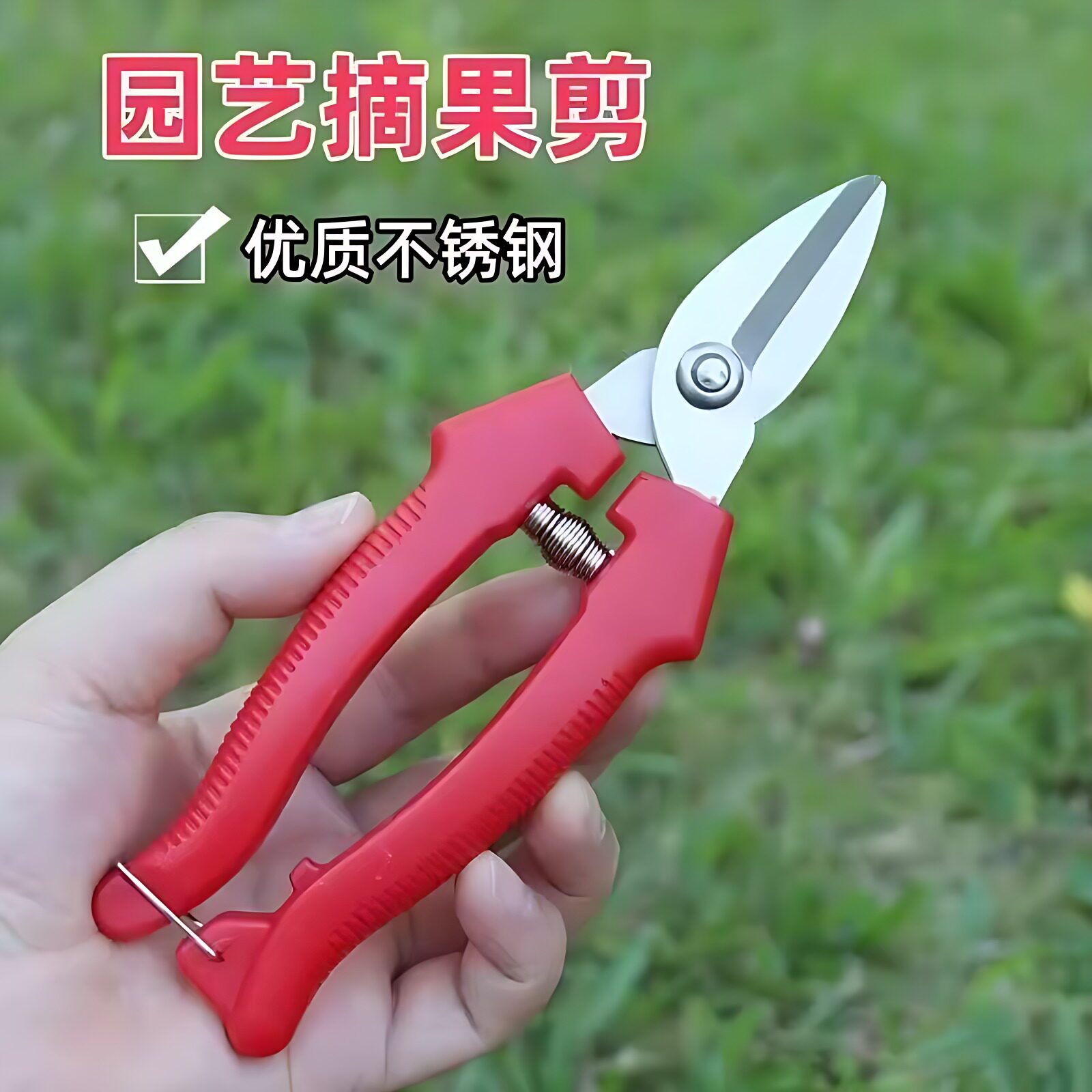 不锈钢细齿园艺剪刀专用采摘图片