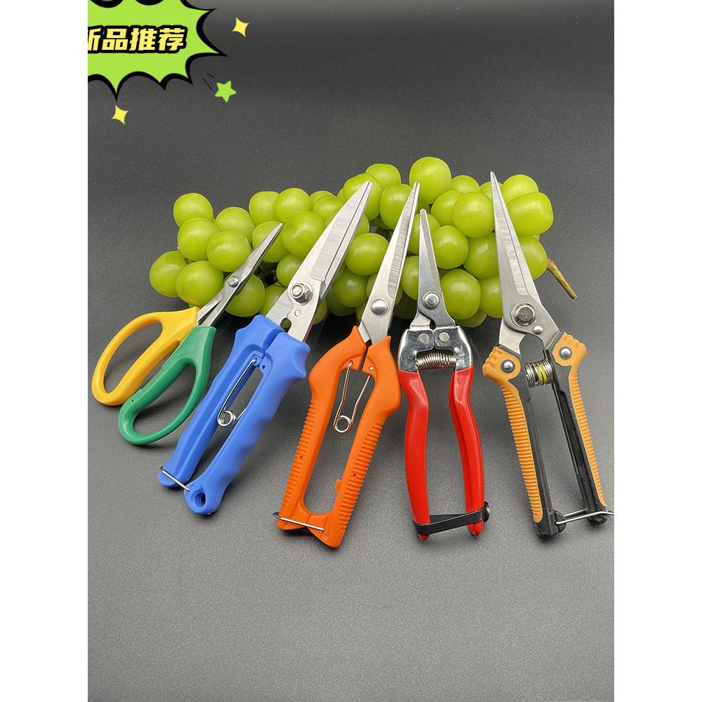 葡萄剪水果专用剪刀采果剪子弹簧修枝蔬果园艺疏摘果小剪树枝稀果