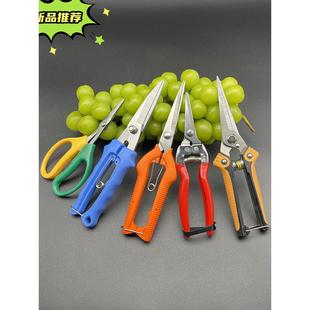 葡萄剪水果专用剪刀采果剪子弹簧修枝蔬果园艺疏摘果小剪树枝稀果