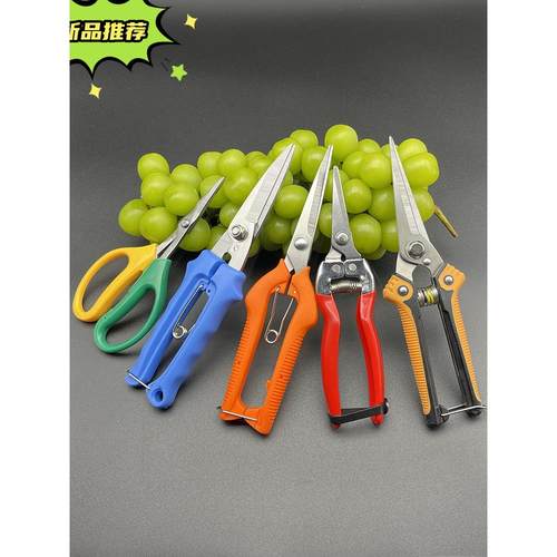 葡萄剪水果专用剪刀采果剪子弹簧修枝蔬果园艺疏摘果小剪树枝稀果