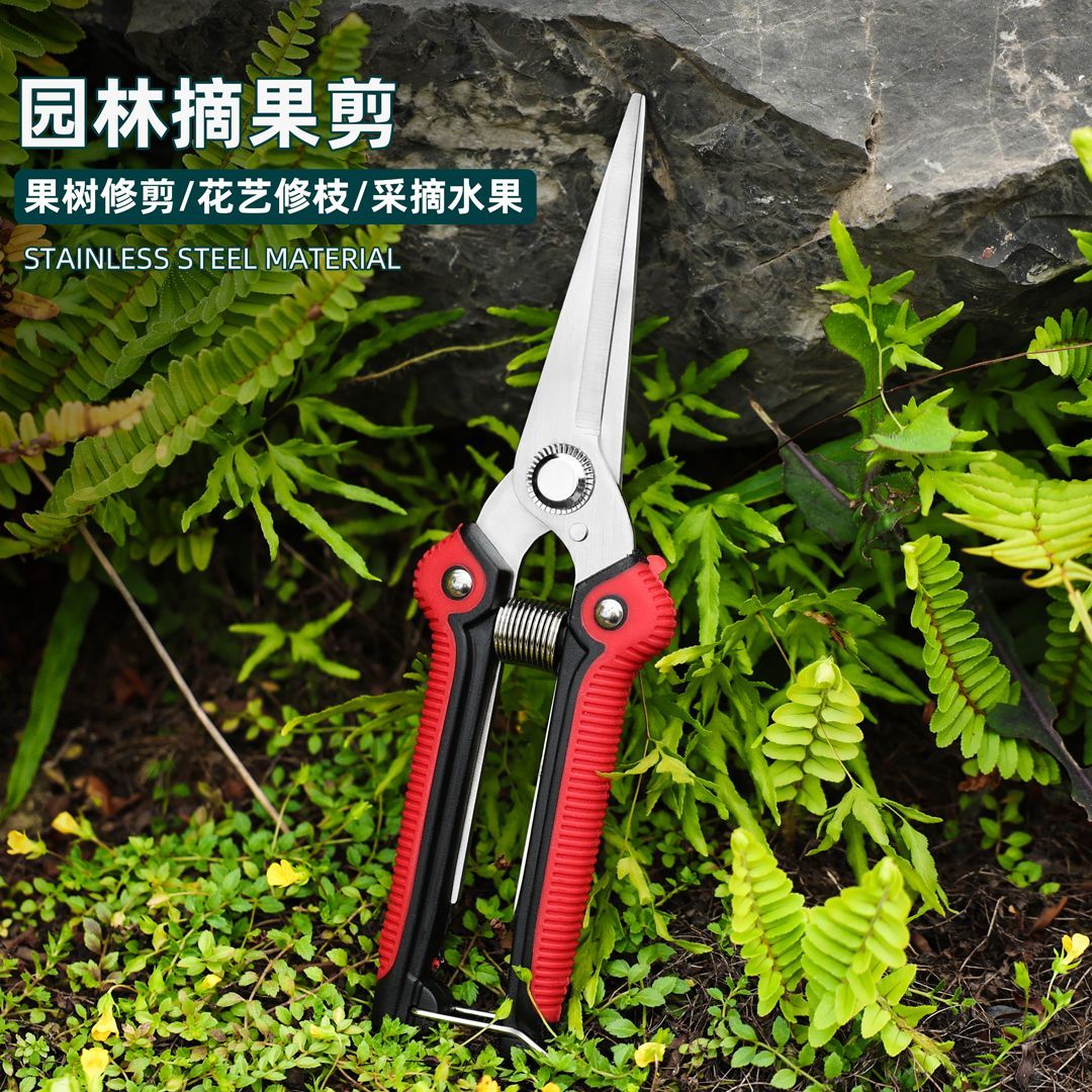 果树剪树枝剪修枝剪弹簧剪子家用嫁接园艺剪刀工具花艺剪摘果剪刀图片