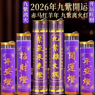 开运九紫离火烛赤马红羊年专用紫色蜡烛招财转运无烟9天酥油斗烛