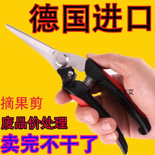 德国进口不锈钢摘果剪修枝树花艺