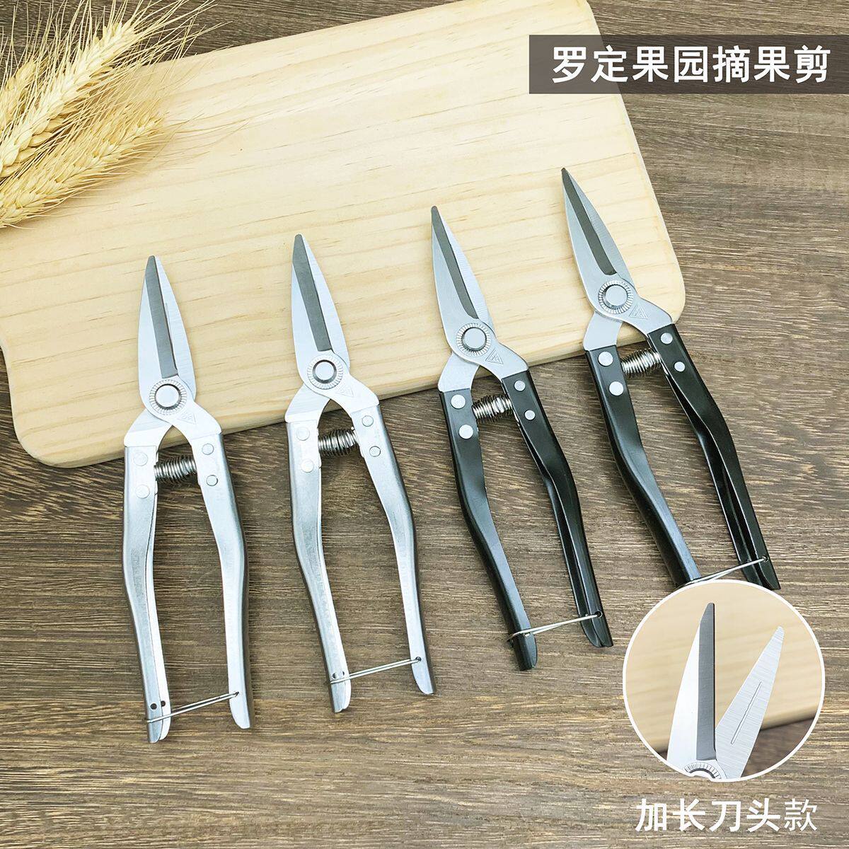 罗定不锈钢果剪剪刀摘果果树柑桔柑橘修枝剪果子蔬果采果专用园林