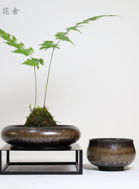 景德镇陶瓷花器蕨类植物水培中式