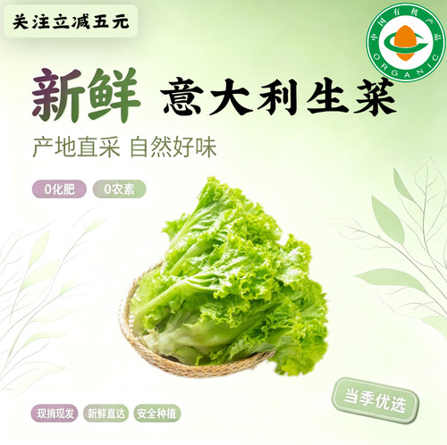4.2斤有机意大利生菜 有机认证天然绿色蔬菜脆嫩爽口蔬菜沙拉顺丰