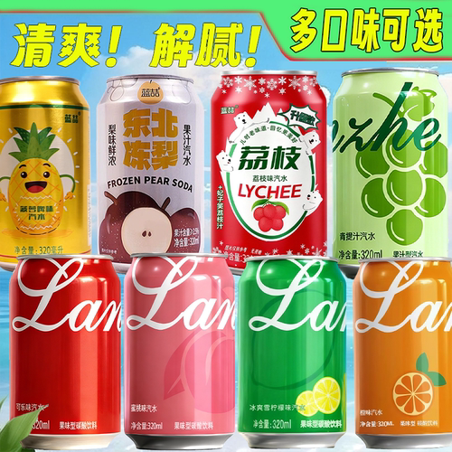 果味汽水气泡水东北冻梨荔枝味汽水柠檬水蜜桃汁果汁饮料饮品风味