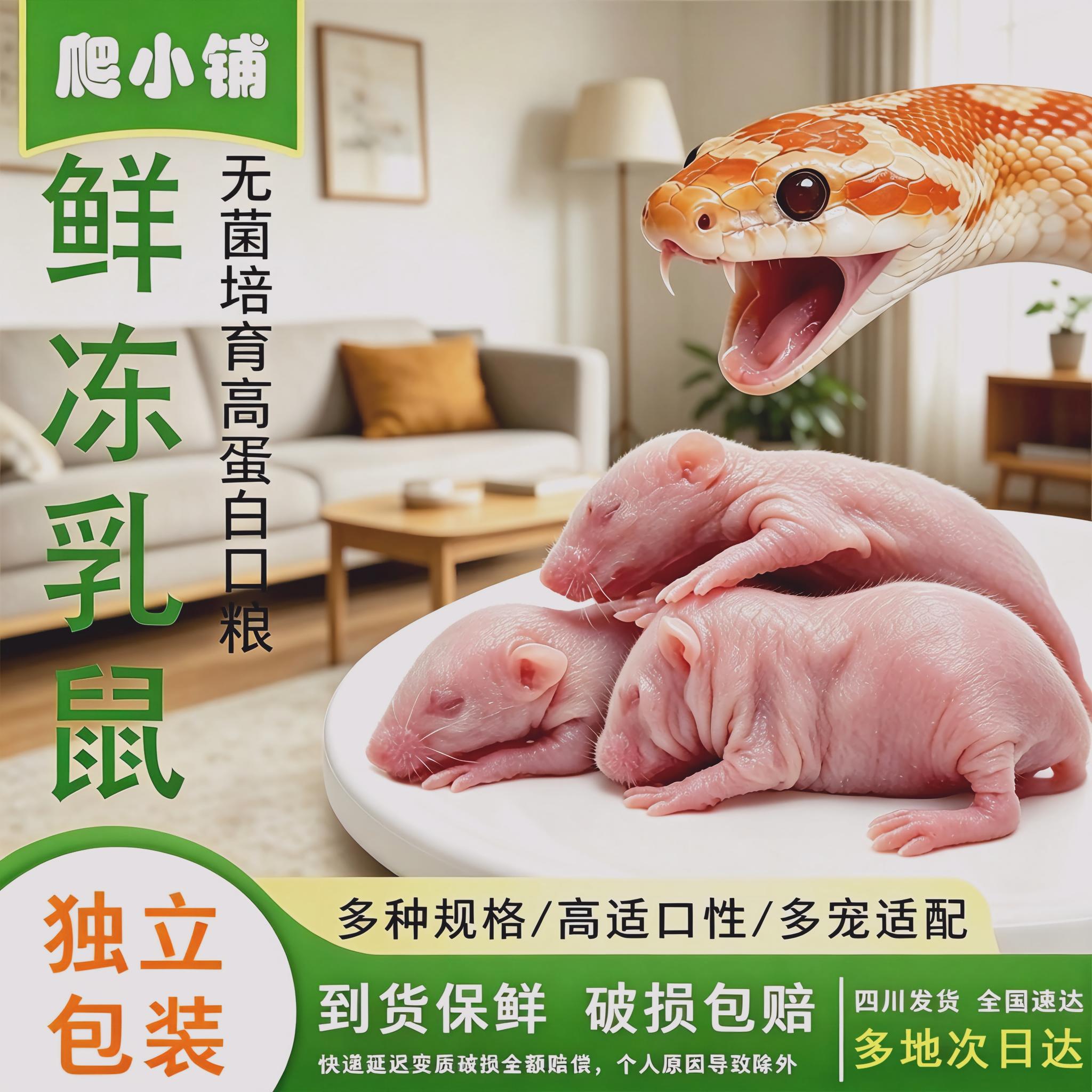 冷冻乳鼠小白鼠宠物蛇饲料冻鼠红皮粉皮喂猫食物独立包装无菌四川