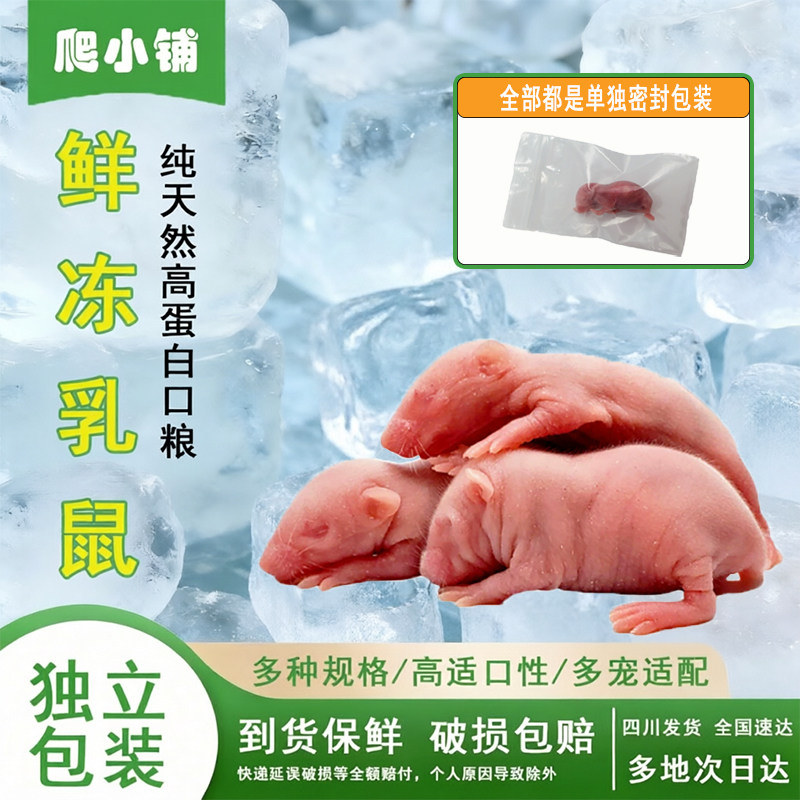 冷冻乳鼠蛇猫饲料爬宠冻干食物图片
