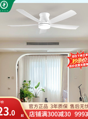 雷士照明风扇灯客厅吊扇灯现代简约餐厅卧室电扇灯家用静音开叶扇