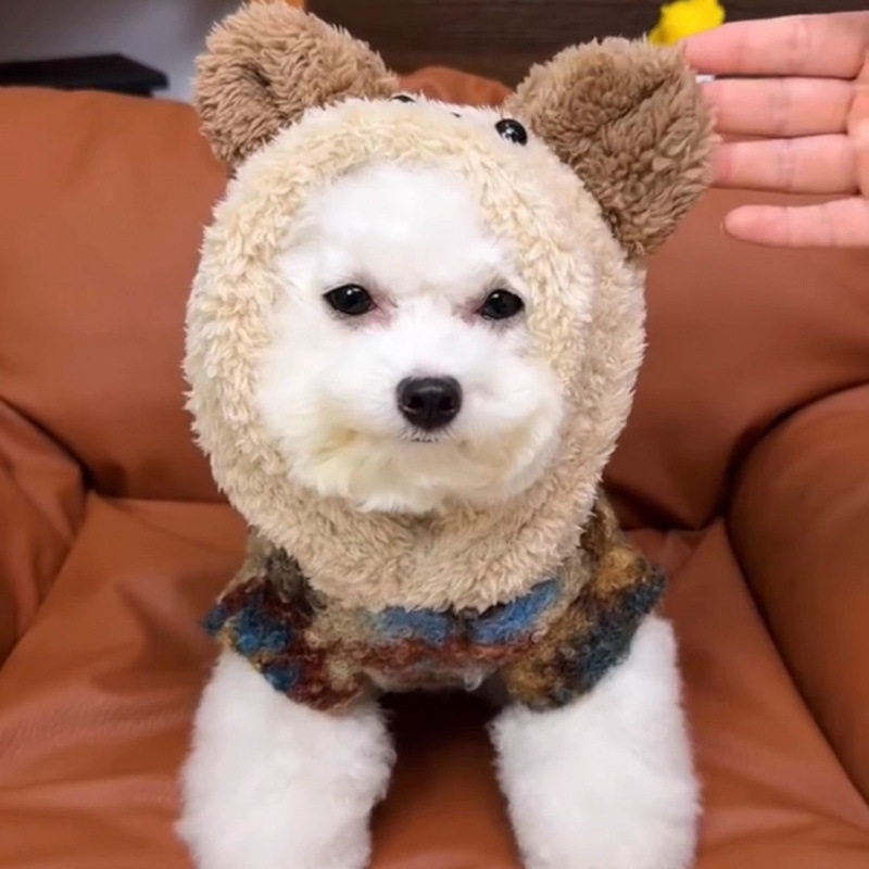 狗狗衣服秋冬加绒加厚保暖连帽外套小型犬宠物泰迪比熊秋冬天棉衣