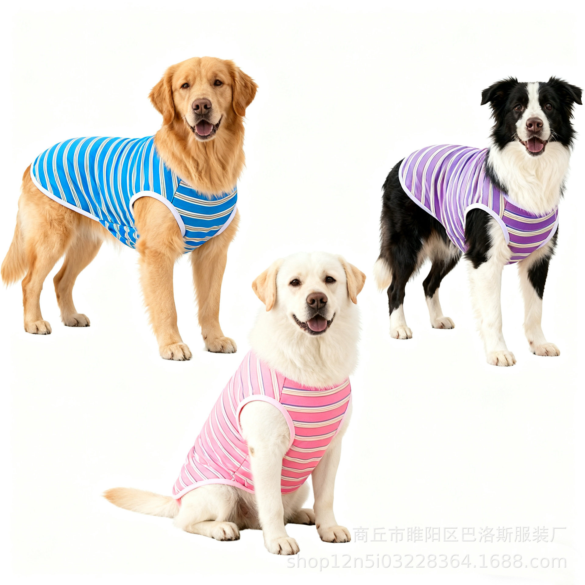 狗狗条纹背心大型犬衣服100斤可穿金毛萨摩拉布拉多两脚衣服多色图片