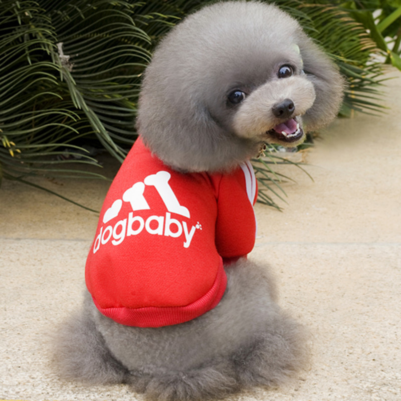 厂家秋冬中小型犬猫咪贵宾泰迪宠物衣服带帽抓绒户外运动两腿卫衣