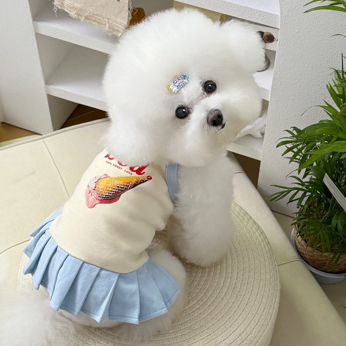新款卡通宠物背心泰迪博美小狗衣服春夏装小型犬贵宾猫咪宠物衣服