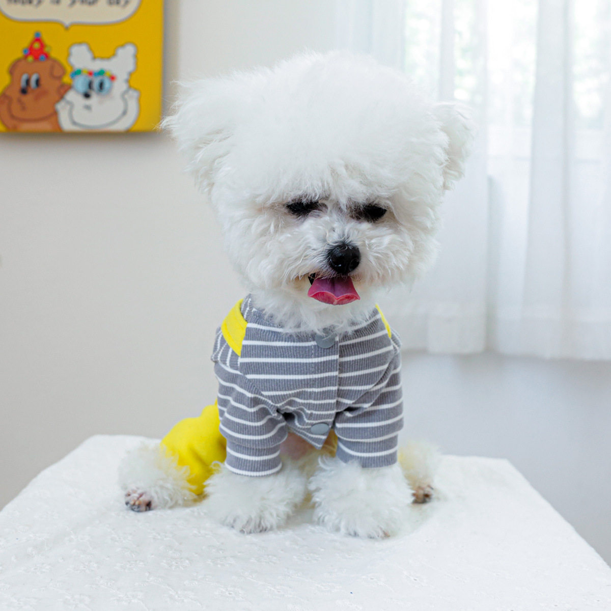 现货宠物服装宠物小狗猫咪衣服可爱工厂秋冬新款搞怪四脚衣背带裤
