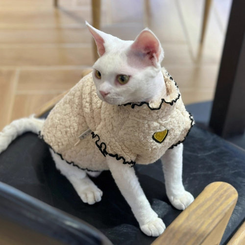 猫咪衣服冬季新款保暖羊羔绒可爱花边背心无毛猫德文斯芬克斯棉衣