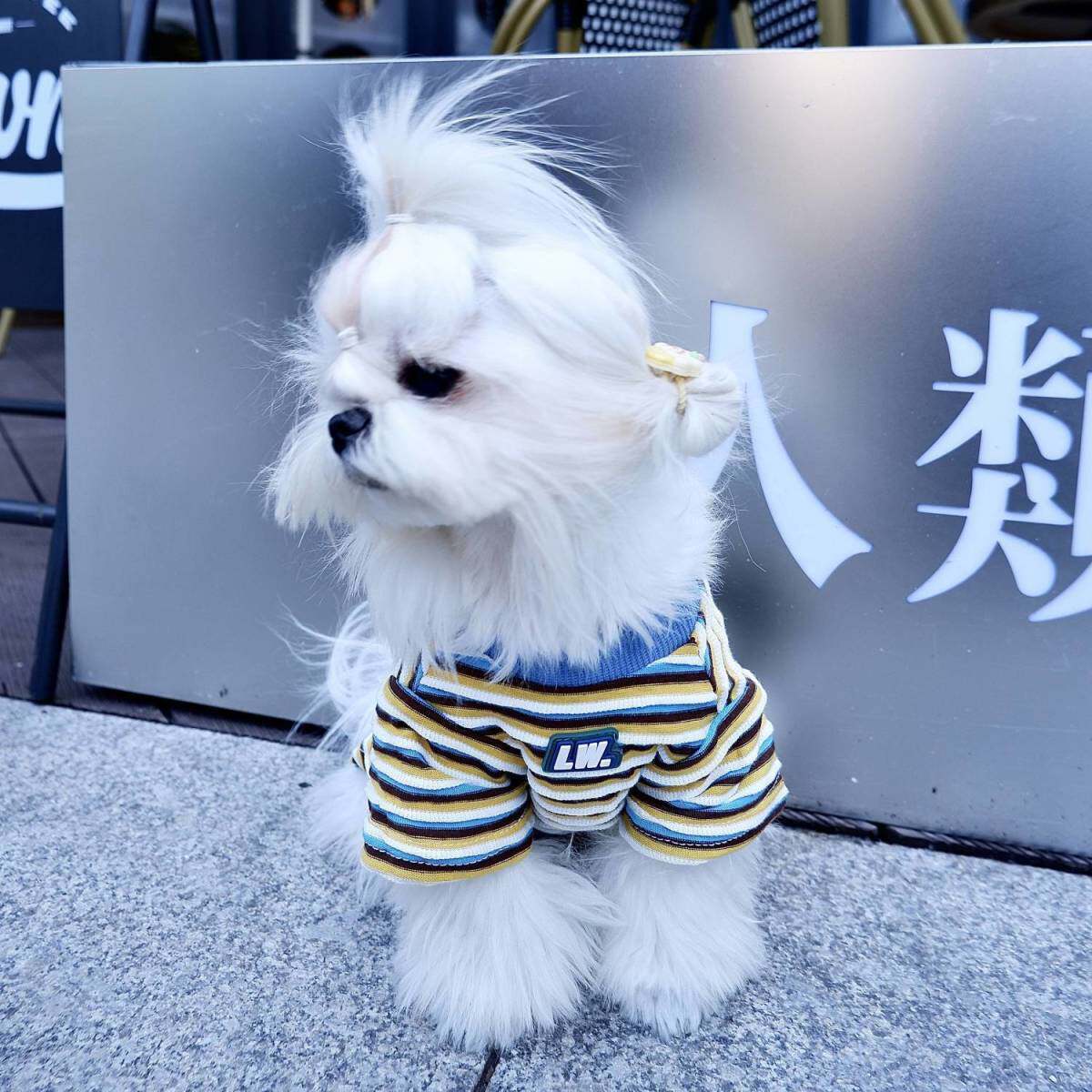 批发宠物新款夏装条纹T恤卫衣泰迪雪纳瑞柴犬比熊小型犬狗狗衣服