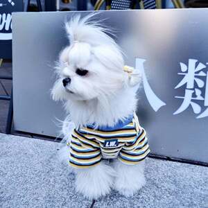 批发宠物新款夏装条纹T恤卫衣泰迪雪纳瑞柴犬比熊小型犬狗狗衣服