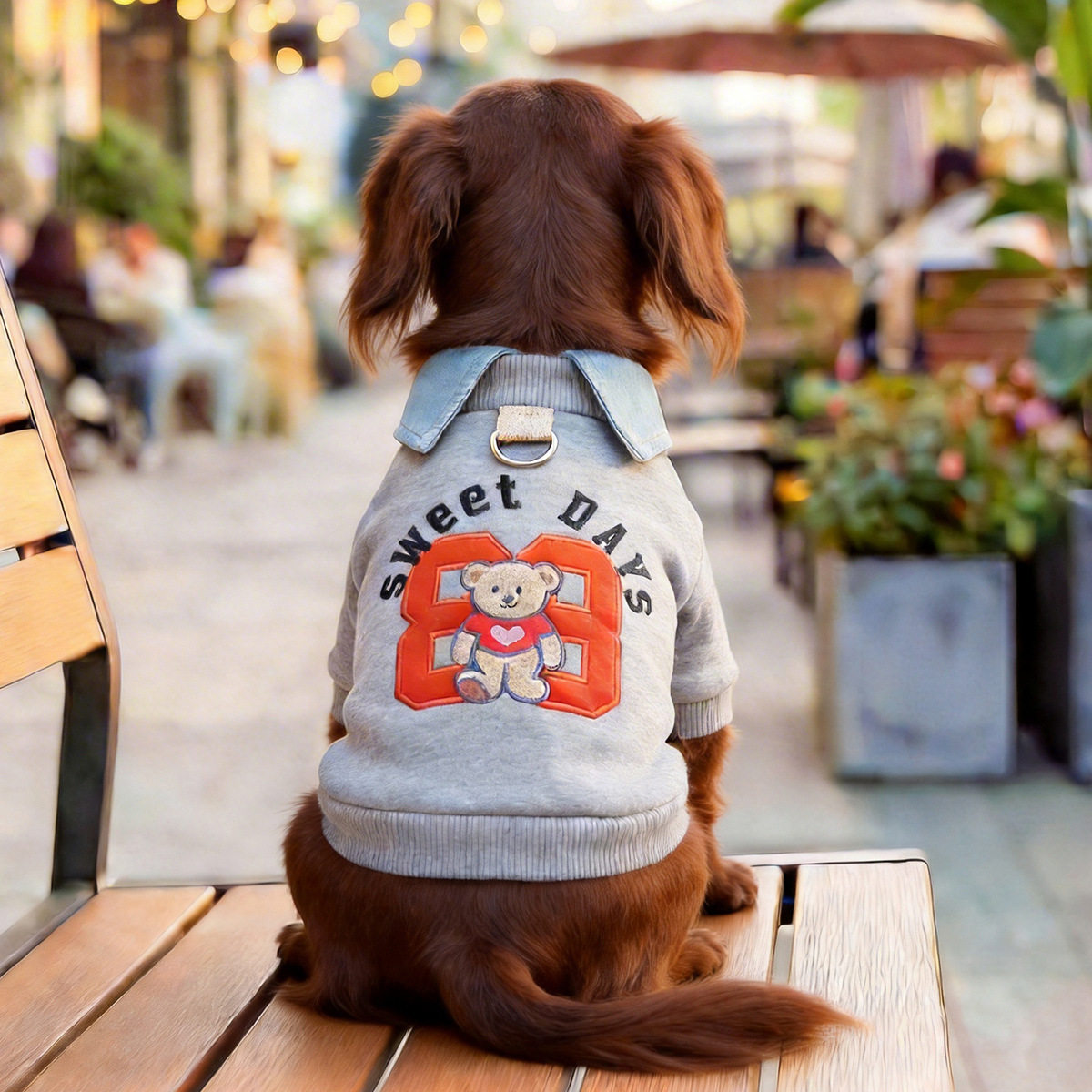 PETCIRCLE宠物服装狗狗猫咪衣服春夏新款学院风假两件小熊卫衣