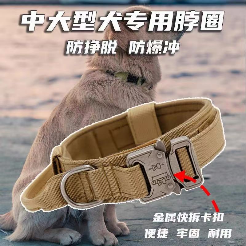 户外战术狗项圈结实牢固中大型犬项圈狗脖子项圈户外防脱狗狗项圈