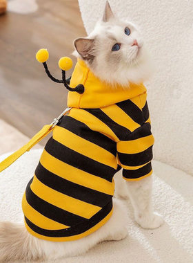搞怪猫咪衣服防掉小蜜蜂比格犬狗狗小型可爱蓝猫春秋新款宠物卫衣