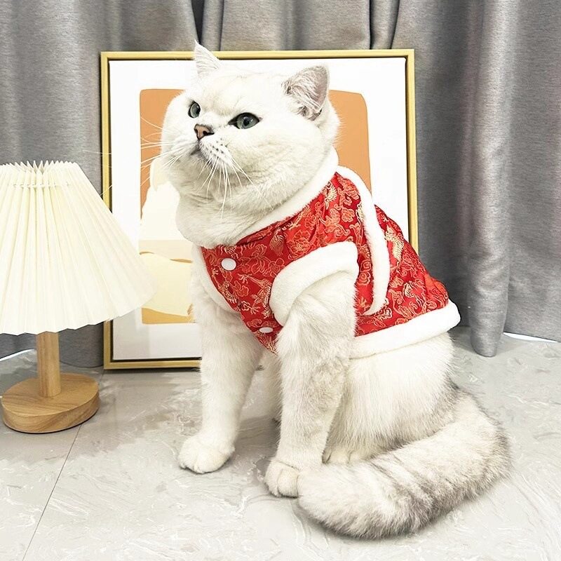 猫咪衣服冬季保暖迎蛇年新年过年喜庆拜年服银渐层布偶猫宠物服装