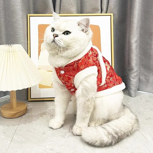 猫咪衣服冬季保暖迎蛇年新年过年喜庆拜年服银渐层布偶猫宠物服装