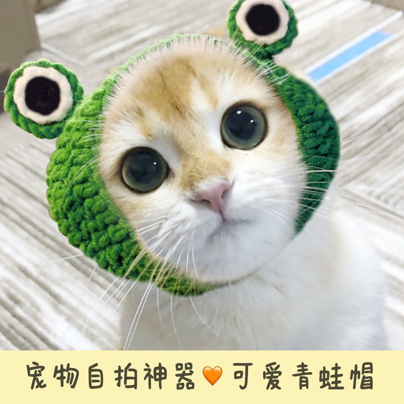 网红宠物猫咪兔耳朵狮子头套兔子猫猫帽子可爱生日圣诞节头饰装扮
