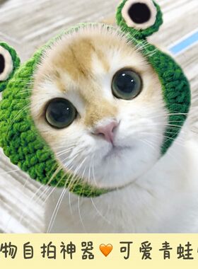 网红宠物猫咪兔耳朵狮子头套兔子猫猫帽子可爱生日圣诞节头饰装扮