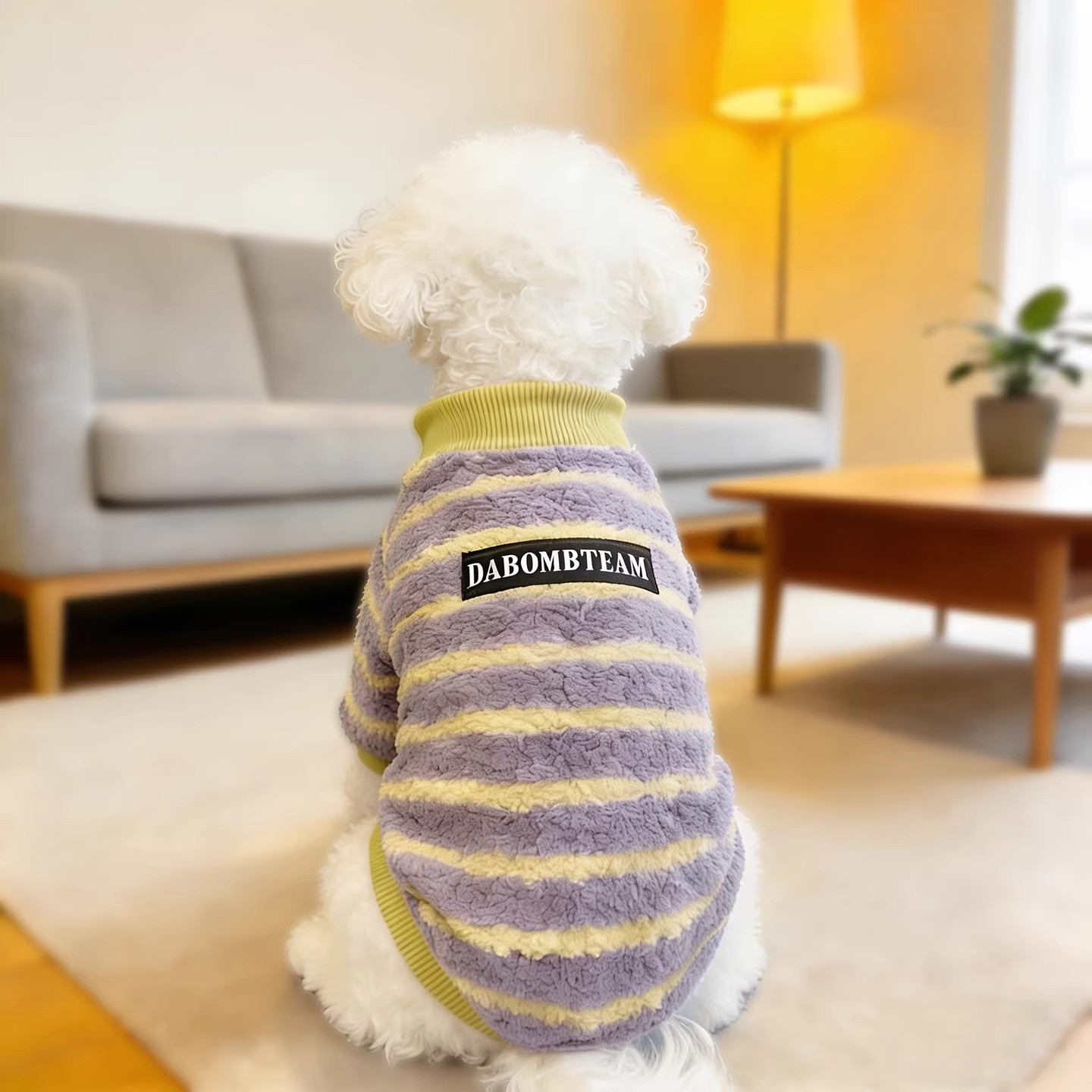 猫咪衣服宠物冬天保暖加绒棉衣布偶德文小猫比熊幼犬防掉毛两脚衣