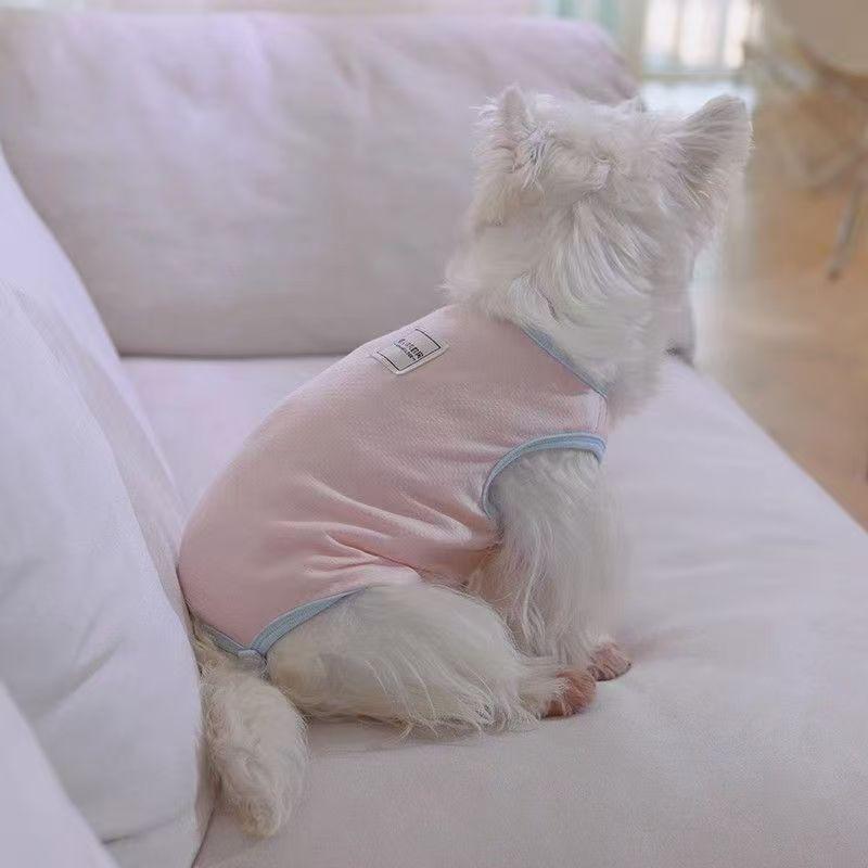 宠物狗狗猫咪衣服春夏装透气薄款泰迪比熊博美幼犬全包护肚生理裤