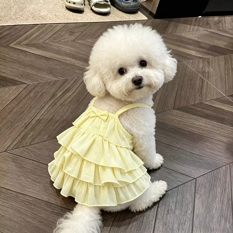 猫咪夏天衣服薄款透气公主裙可爱ins小型犬泰迪比熊博美夏季裙子