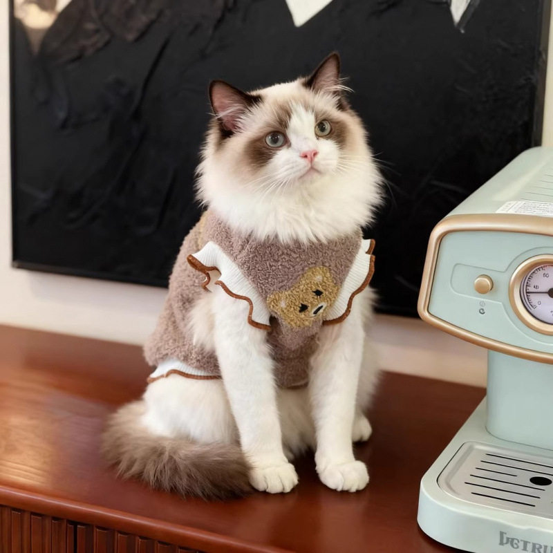 猫咪衣服双面绒冬天保暖加厚斯芬克斯无毛猫背心马甲德文小猫绒衣
