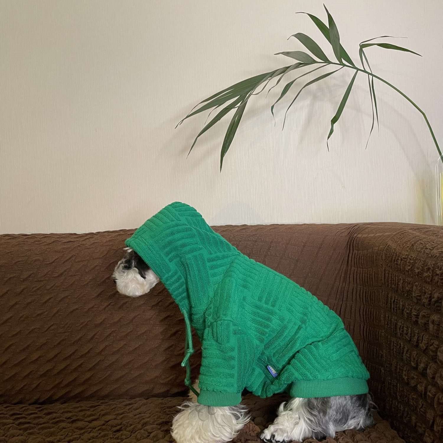 韩国狗狗衣服毛巾面料法斗雪纳瑞比熊泰迪柴犬猫咪连帽卫衣防掉毛